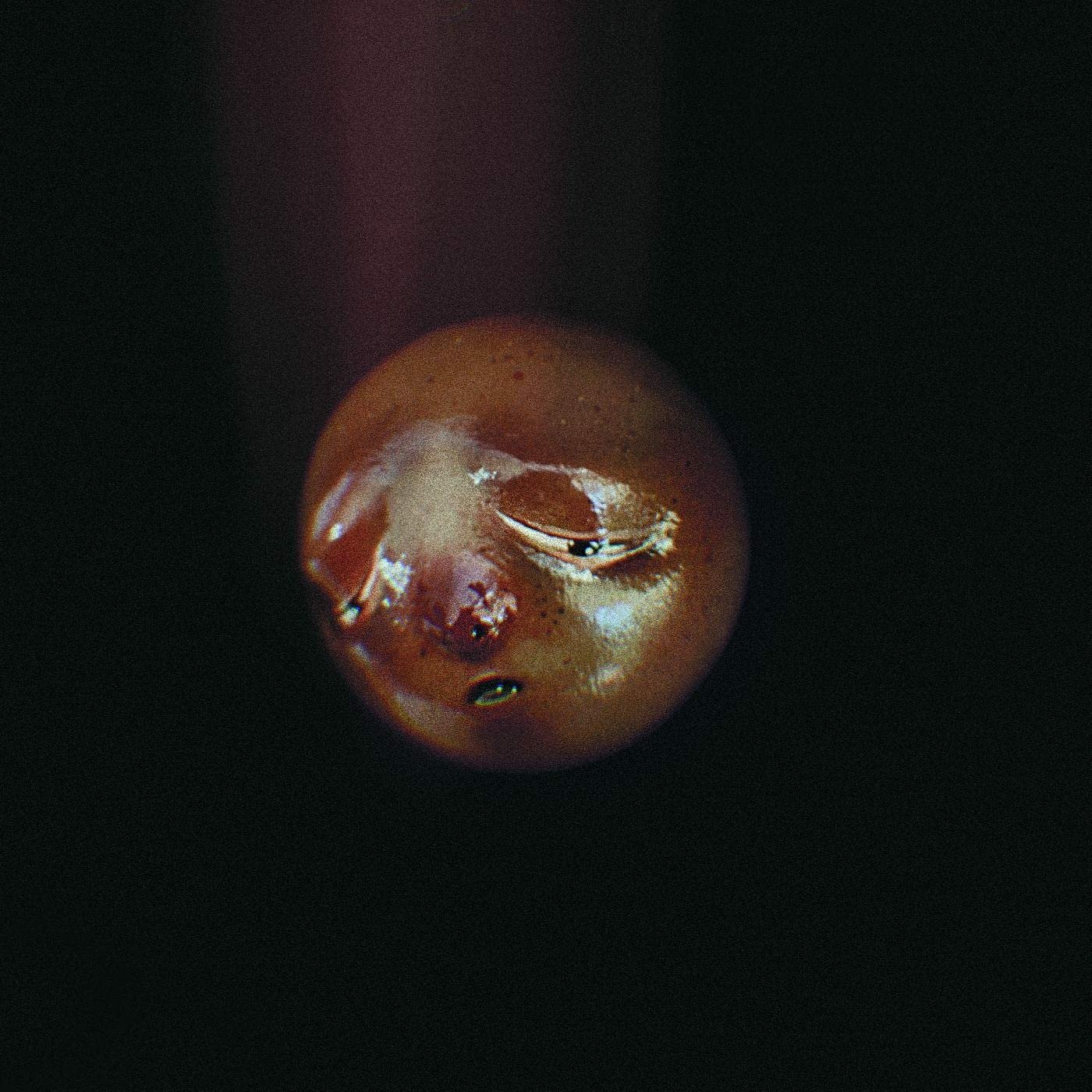 CD Shop - POOLBLOOD MOLE