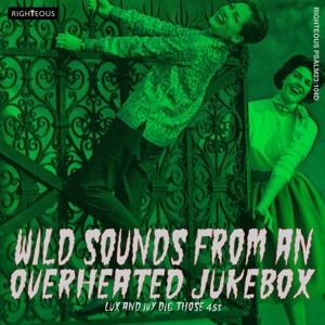CD Shop - VARIOUS ARTISTS WILD SOUNDS FROM AN OV...
