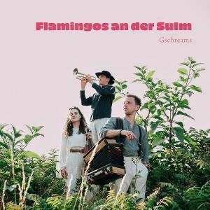 CD Shop - GSCHREAMS FLAMINGOS AN DER SULM
