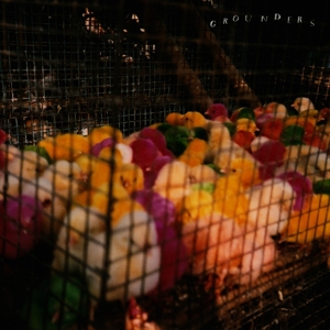 CD Shop - GROUNDERS GROUNDERS