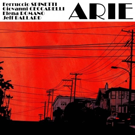 CD Shop - FERRUCCIO SPINETTI ARIE