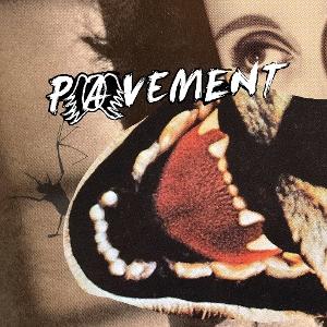 CD Shop - PAVEMENT HECKLER S CHOICE: BIG ...