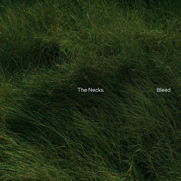 CD Shop - THE NECKS BLEED
