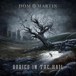 CD Shop - DON MARTIN BURIED IN THE HAIL