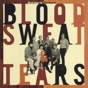 CD Shop - BLOOD, SWEAT & TEARS WHAT GOES UP! THE BEST OF