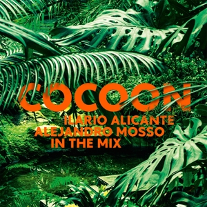 CD Shop - VARIOUS ARTISTS COCOON IBIZA 2013