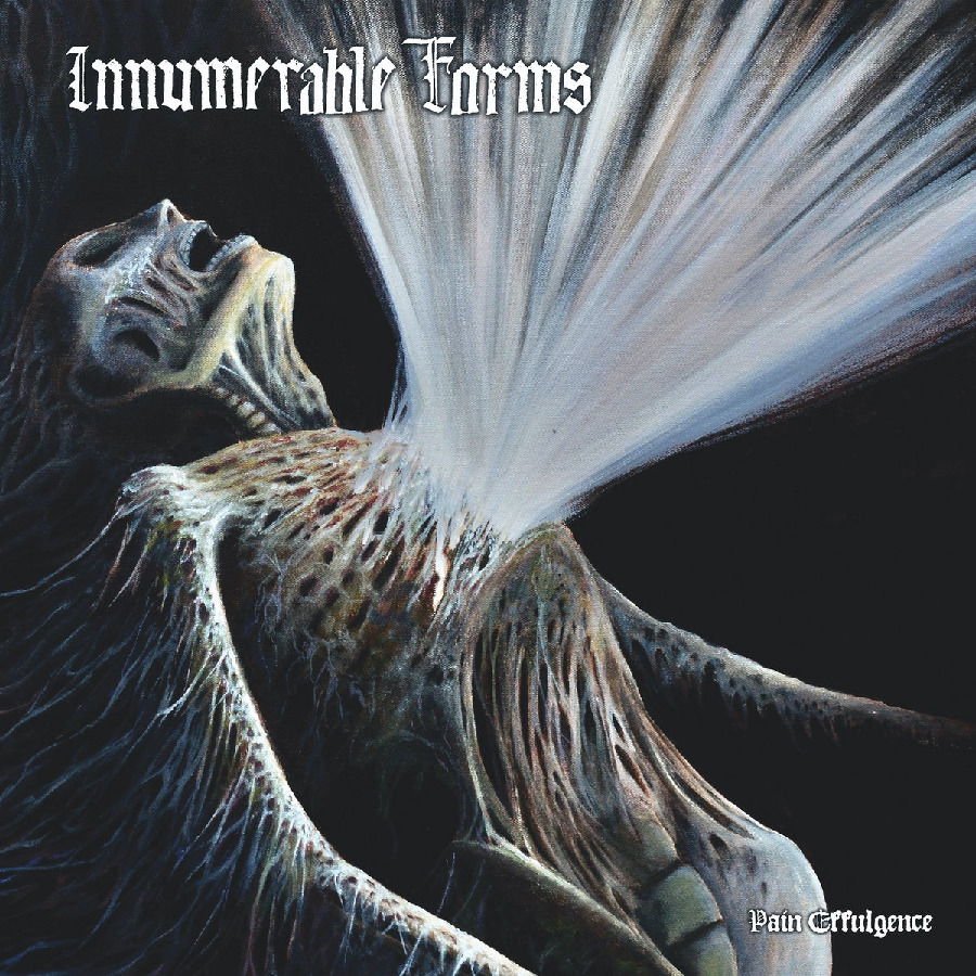CD Shop - INNUMERABLE FORMS PAIN EFFULGENCE