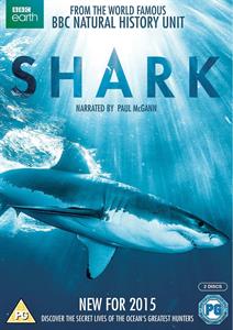 CD Shop -  SHARK