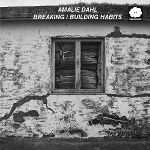 CD Shop - DAHL, AMALIE BREAKING/BUILDING HABITS