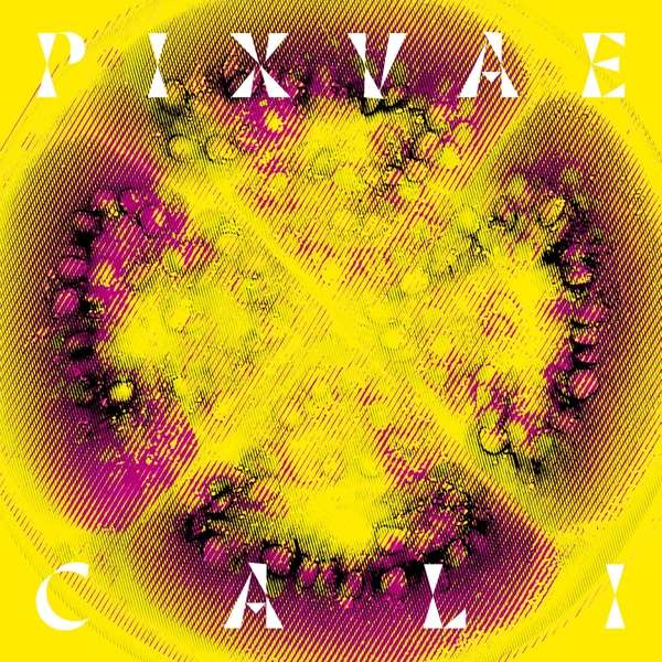 CD Shop - PIXVAE CALI