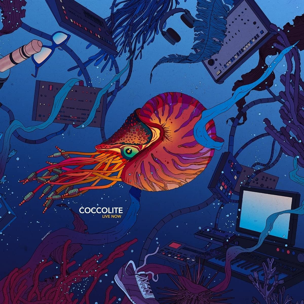 CD Shop - COCCOLITE LIVE NOW