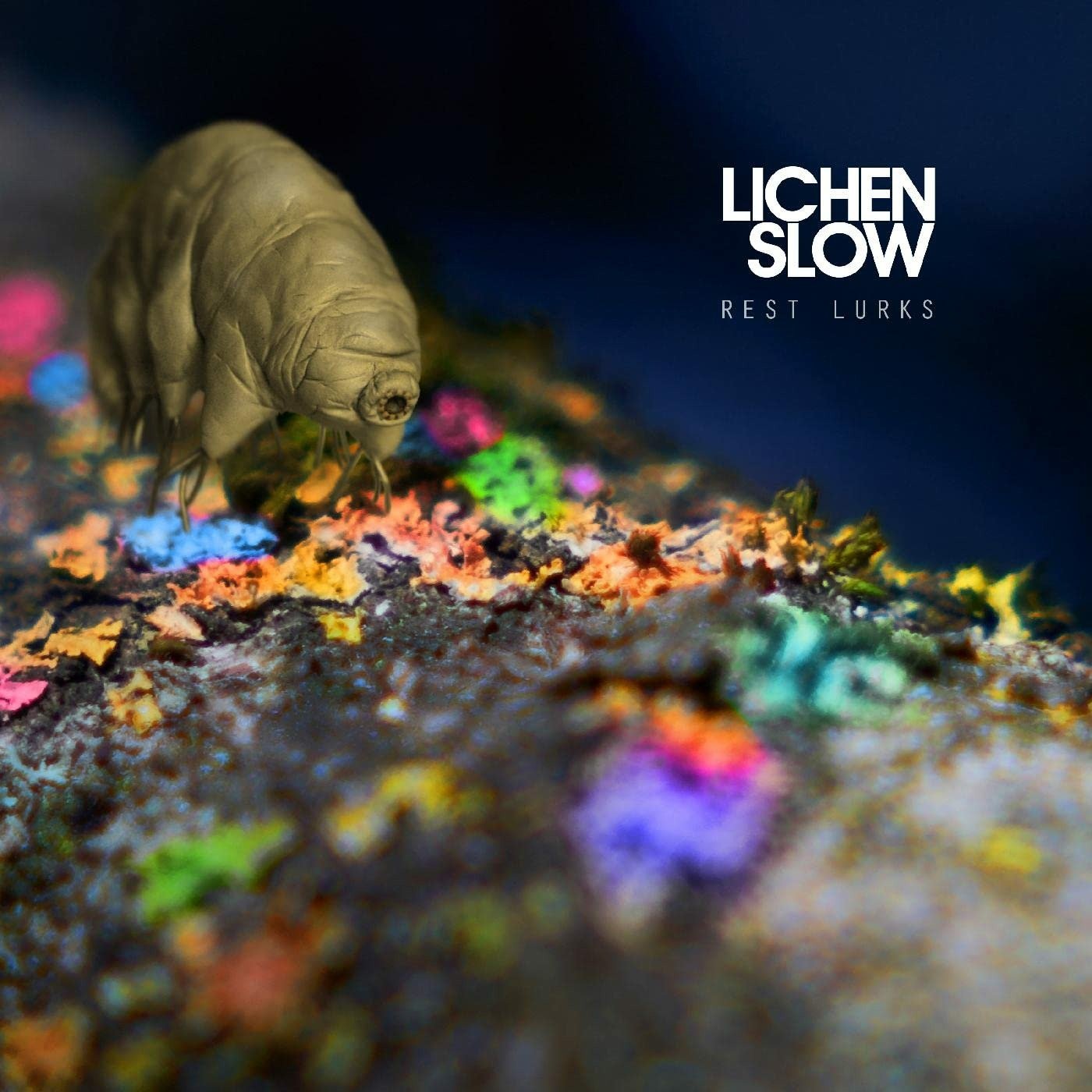 CD Shop - LICHEN SLOW REST LURKS