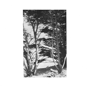 CD Shop - RICK DEITRICK GENTLE WILDERNESS