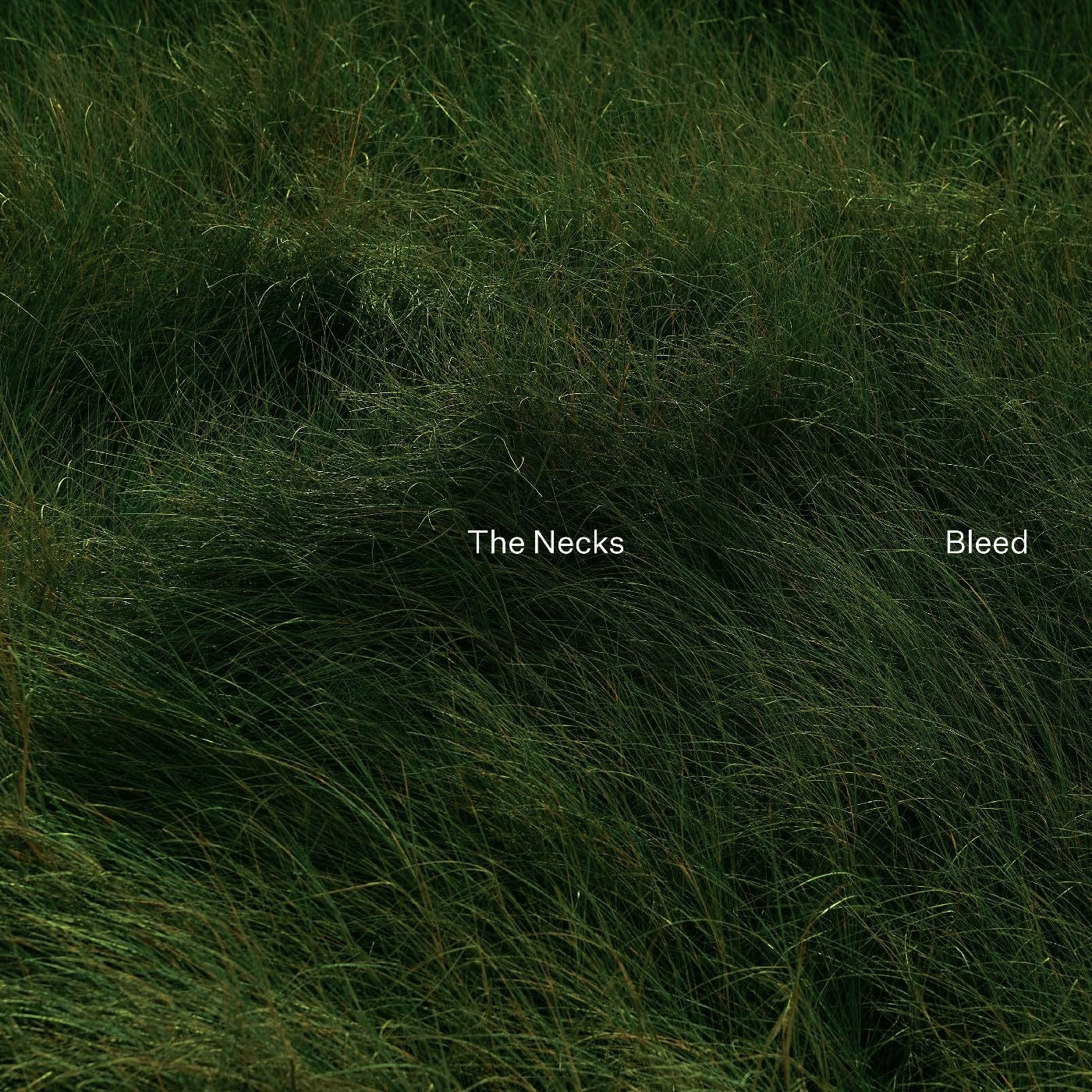 CD Shop - THE NECKS BLEED