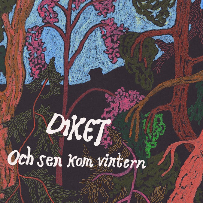 CD Shop - DIKET OCH SEN KOM VINTERN