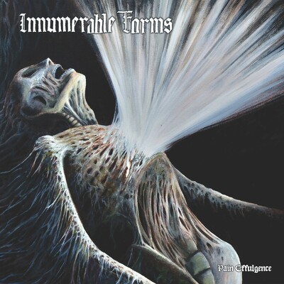 CD Shop - INNUMERABLE FORMS PAIN EFFULGENCE