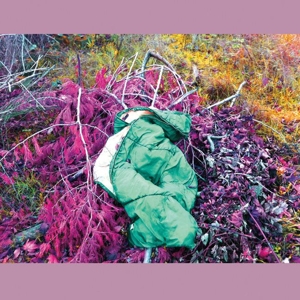 CD Shop - DREAMDECAY N V N V N V