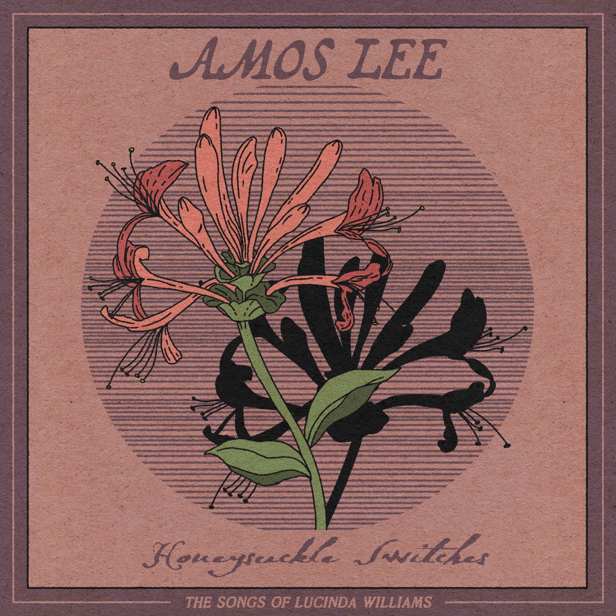CD Shop - AMOS LEE HONEYSUCKLE SWITCHES: ...