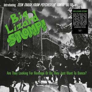 CD Shop - VARIOUS ARTISTS BIG LIZARD STOMP (TEEN...