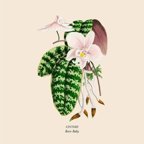 CD Shop - CINTHIE RAVE BABY