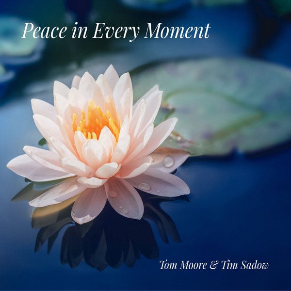 CD Shop - TOM & TIM SADOW MOORE PEACE IN EVERY MOMENT