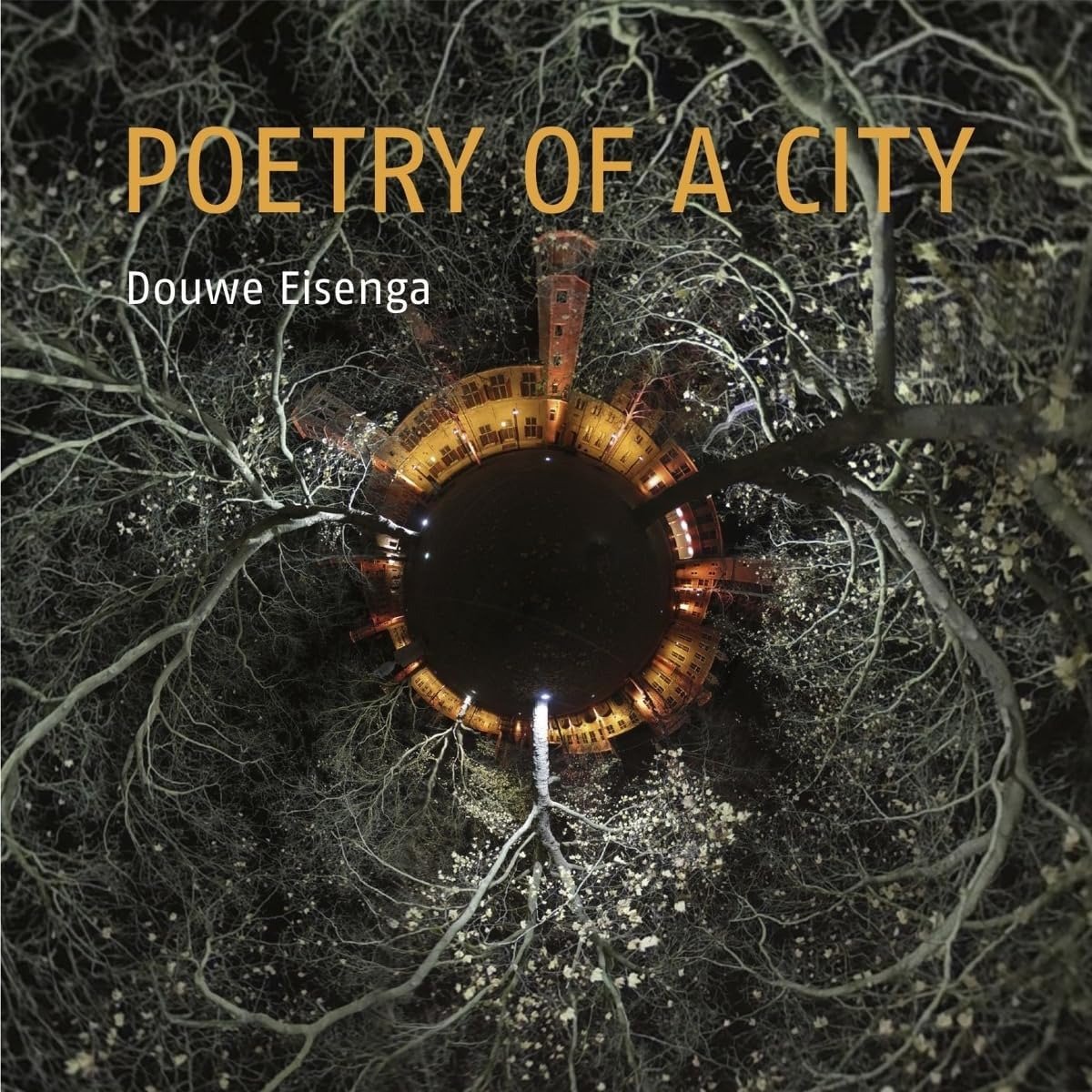 CD Shop - DOUWE EISENGA POETRY OF A CITY