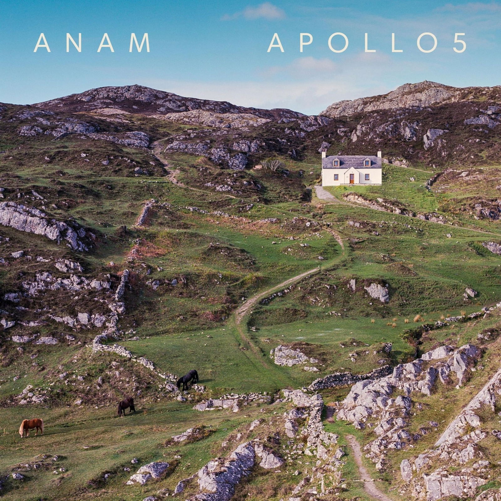 CD Shop - APOLLO5 ANAM: MUSIC TO MOVE TH...