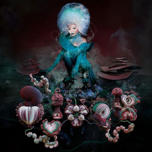 CD Shop - BJöRK FOSSORA