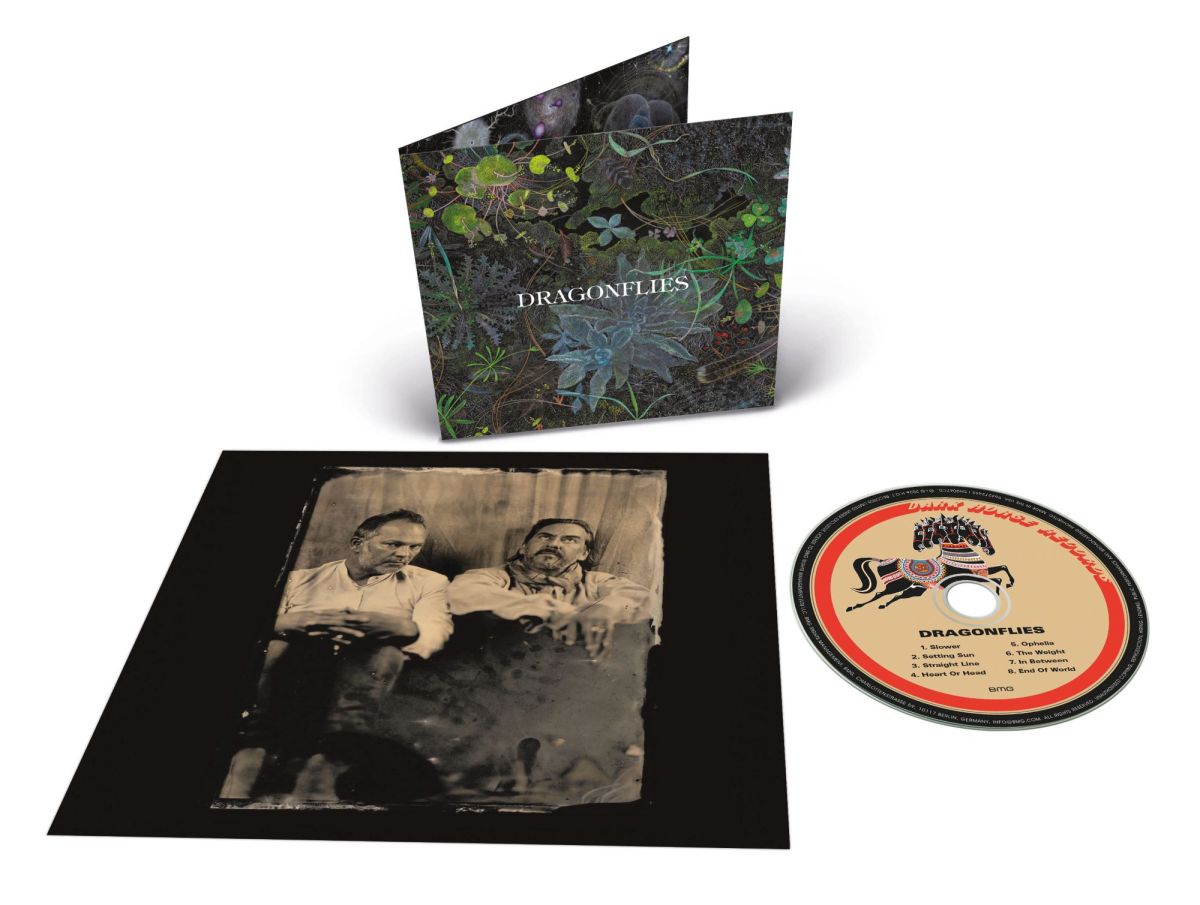 CD Shop - THE DRAGONFLIES DRAGONFLIES