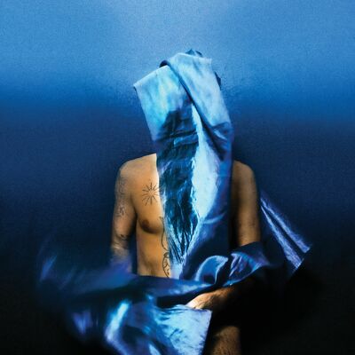 CD Shop - DEVENDRA BANHART FLYING WIG