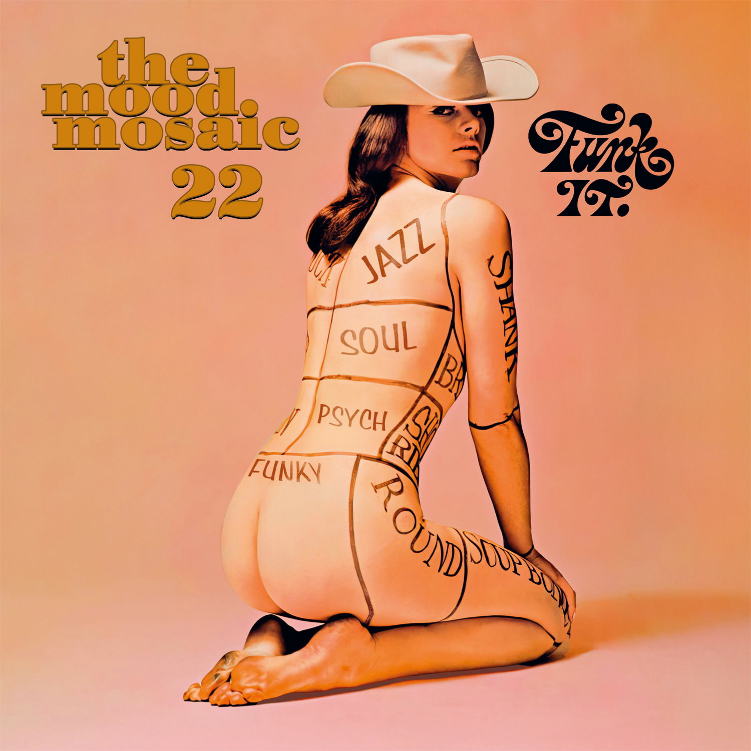 CD Shop - VARIOUS ARTISTS MOOD MOSAIC 22
