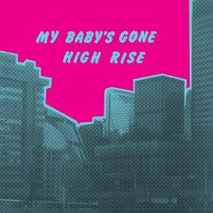 CD Shop - HIGH RISE MY BABY\