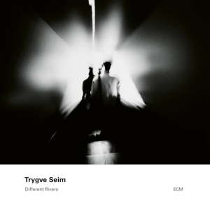 CD Shop - TRYGVE SEIM DIFFERENT RIVERS