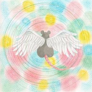CD Shop - MEI SEMONES ANIMARU