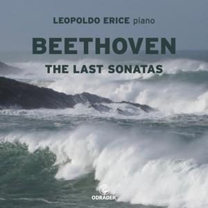 CD Shop - LEOPOLDO ERICE BEETHOVEN: THE LAST SO...