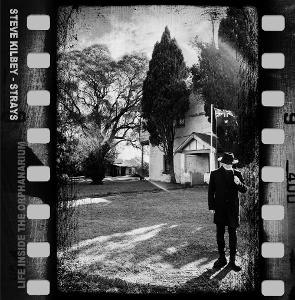 CD Shop - STEVE KILBEY STRAYS (LIFE INSIDE THE ORPHANARIUM)