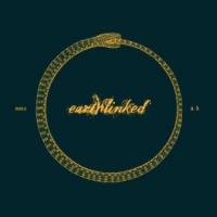 CD Shop - FDK (B) EARTHLINKED