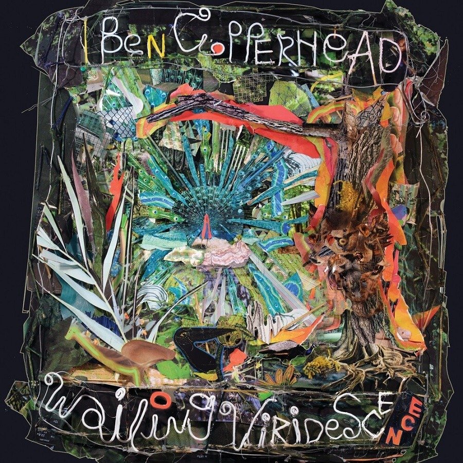 CD Shop - BEN COPPERHEAD WAILING VIRIDESCENCE