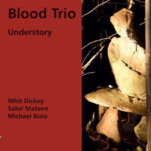 CD Shop - BLOOD TRIO UNDERSTORY