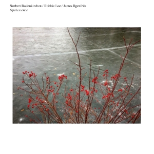 CD Shop - NORBERT RODENKIRCHEN OPALESCENCE