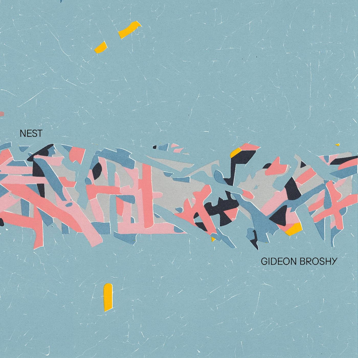 CD Shop - GIDEON BROSHY NEST