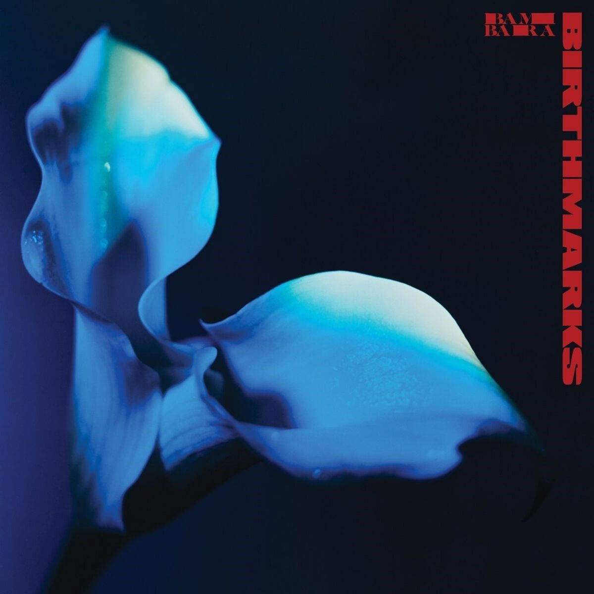 CD Shop - BAMBARA BIRTHMARKS