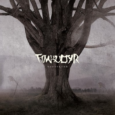 CD Shop - FIMBULTYR NIDDIKTER
