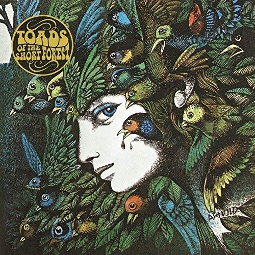 CD Shop - TOADS OF THE SHORT FOREST MINDMOWER