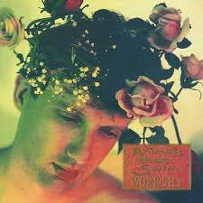 CD Shop - ANIMALS THAT SWIM WORKSHY