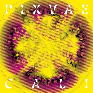 CD Shop - PIXVAE CALI