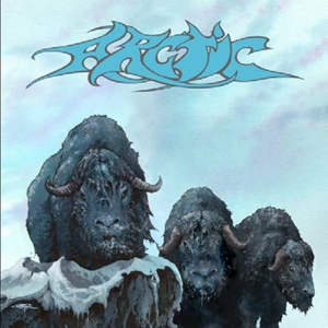 CD Shop - ARCTIC ARCTIC