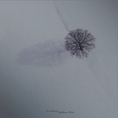 CD Shop - GATHERING, THE NIGHTTIME BIRDS