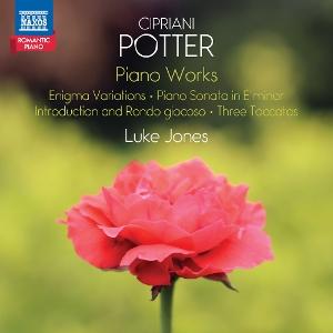 CD Shop - LUKE JONES POTTER: PIANO WORKS