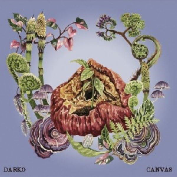 CD Shop - DARKO CANVAS